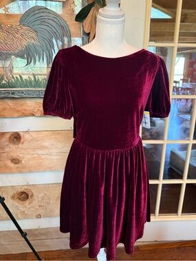 Lush Velvet Short Puff-Sleeve Mini Dress - Burgundy Medium